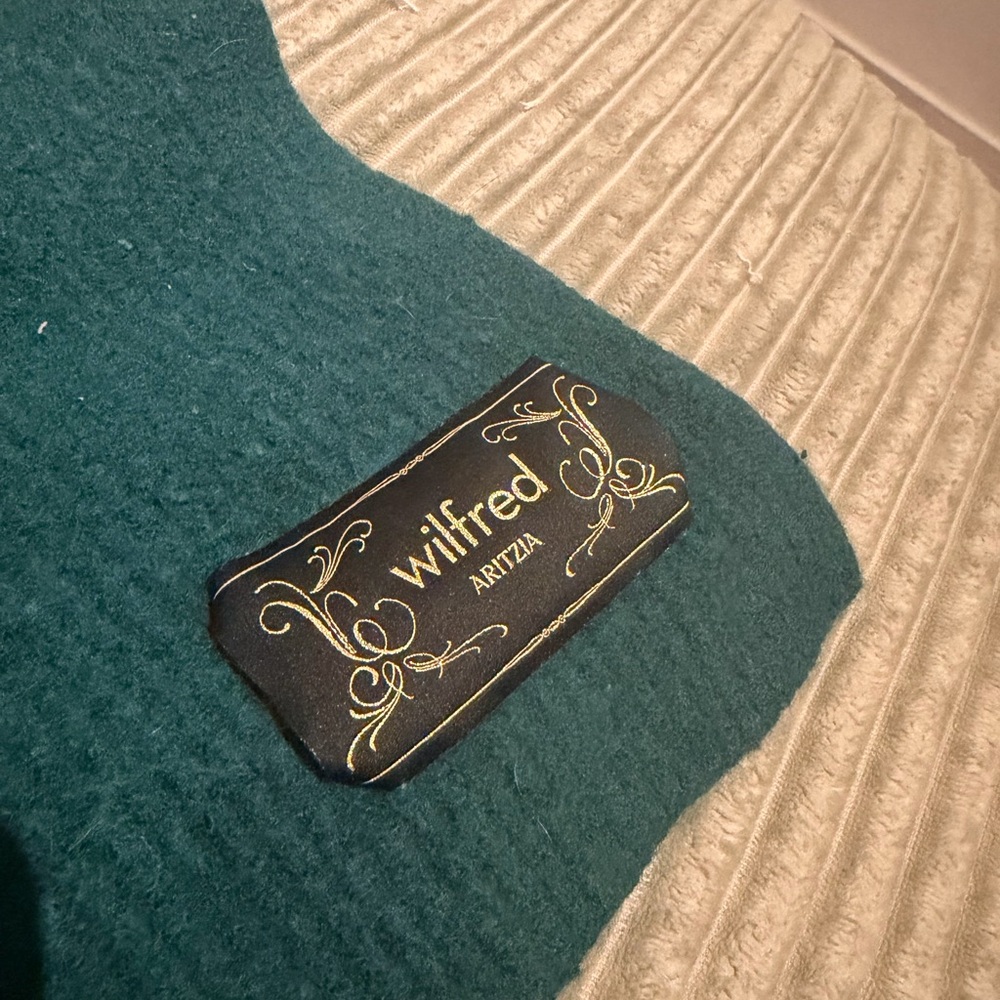 Aritzia scarf